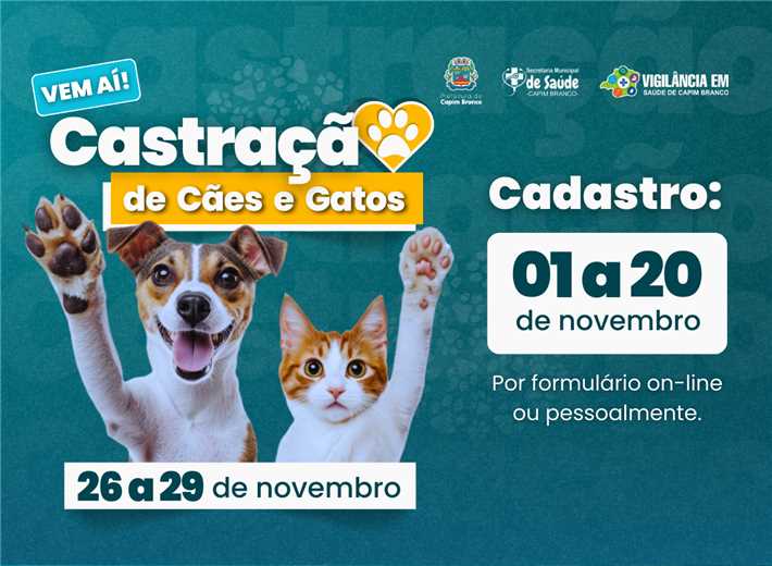 CASTRAÇÃO CÃES E GATOS 2024